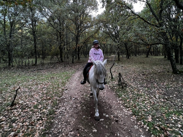 Rutas a caballo en Madrid