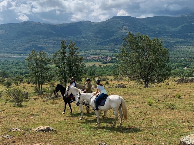 Descubriendo la vegetación de Guadarrama 