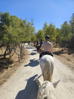 res_o-67761-rutas-a-caballo_de_veronica-gomez-gomez_17901144127615.jpg