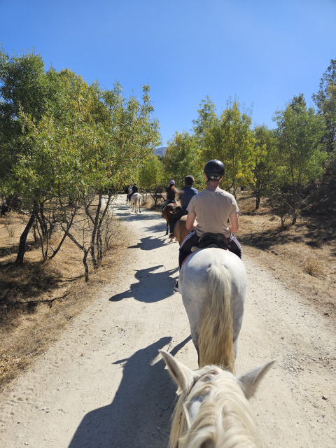 Opinión de Veronica sobre Paseo en caballo por el Valle de Lozoya 1 hora