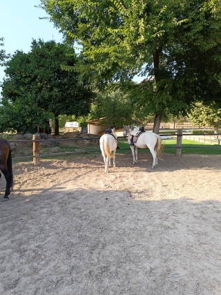 res_o-65280-rutas-a-caballo_de_luis-milena_1000042861_17549409543164.jpg