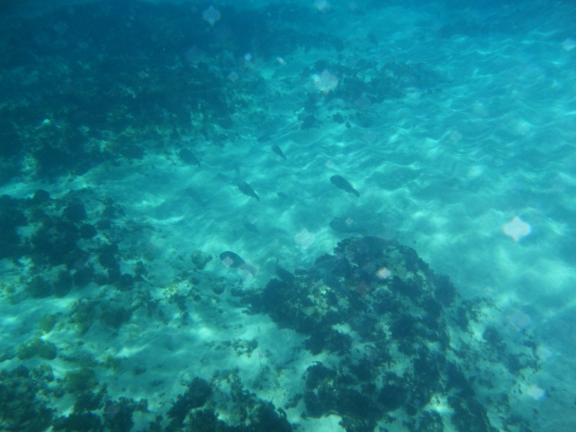 DSCF1416.JPG