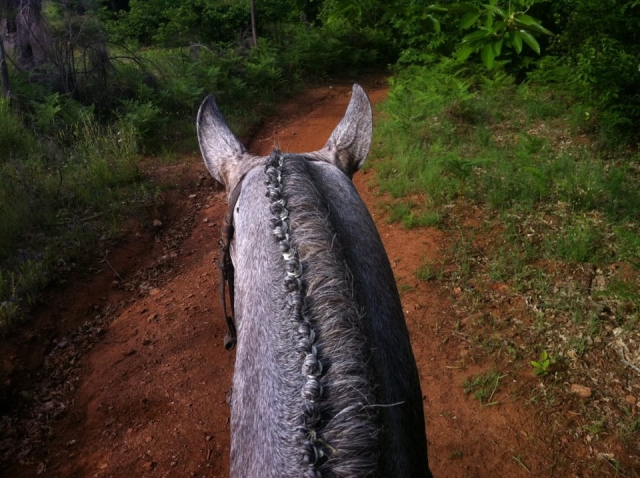 Instántanea tomada en primera persona a lomos de un caballo