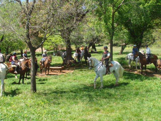 Excusiones a caballo