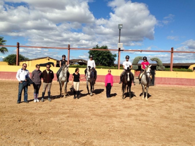  Lezioni equestri in pista 