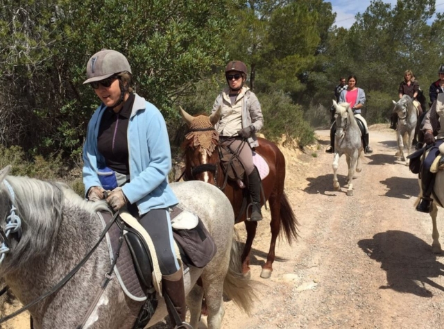  Percorso a cavallo in gruppo 
