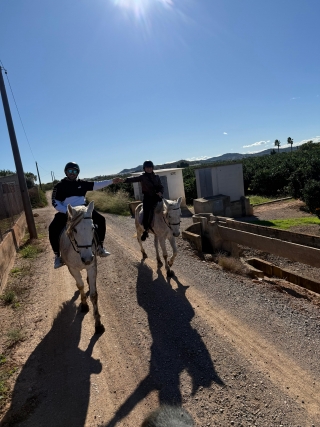 res_o-66142-rutas-a-caballo_de_dafinka-georgieva_2431f8ba-df88-4cb2-acab-f4ebca8d6017_1763283865143.jpeg