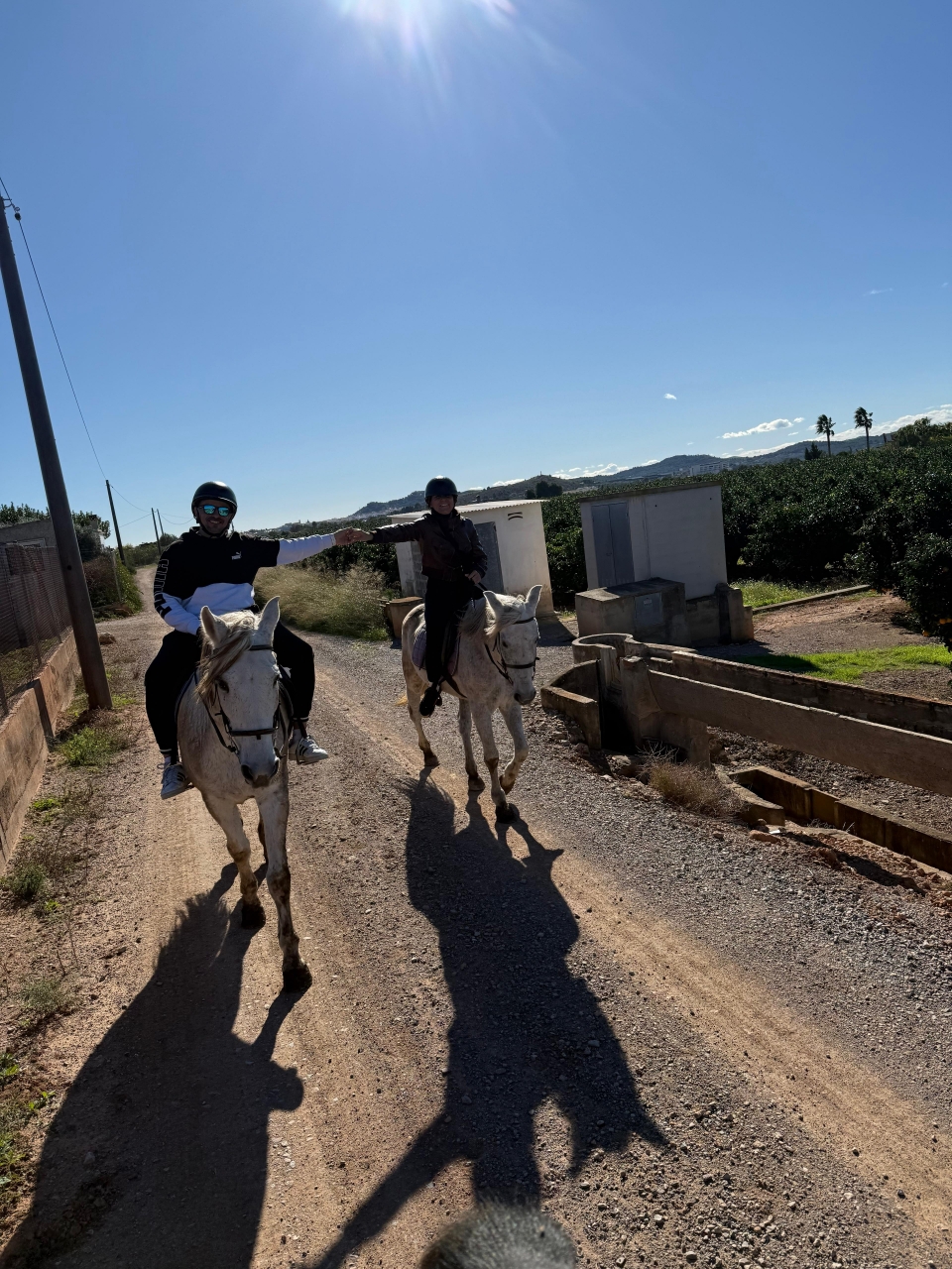 res_o-66142-rutas-a-caballo_de_dafinka-georgieva_2431f8ba-df88-4cb2-acab-f4ebca8d6017_1763283865143.jpeg