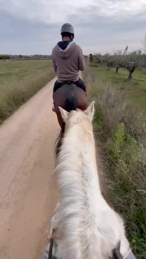 Opinione di Vicenta su Escursione a cavallo a Llíria 1 ora