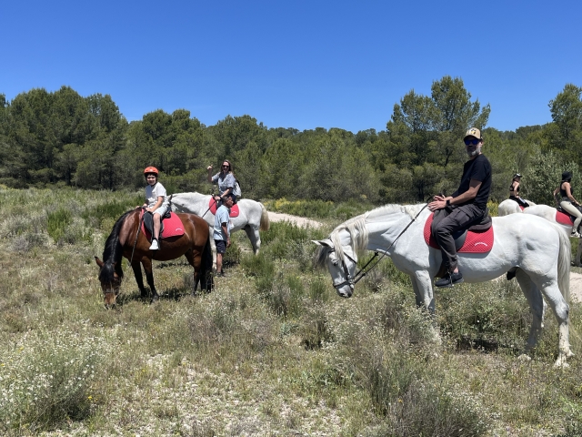 Opinión de Saúl sobre Excursión Ecuestre por la Sierra de Alicanle de 1h