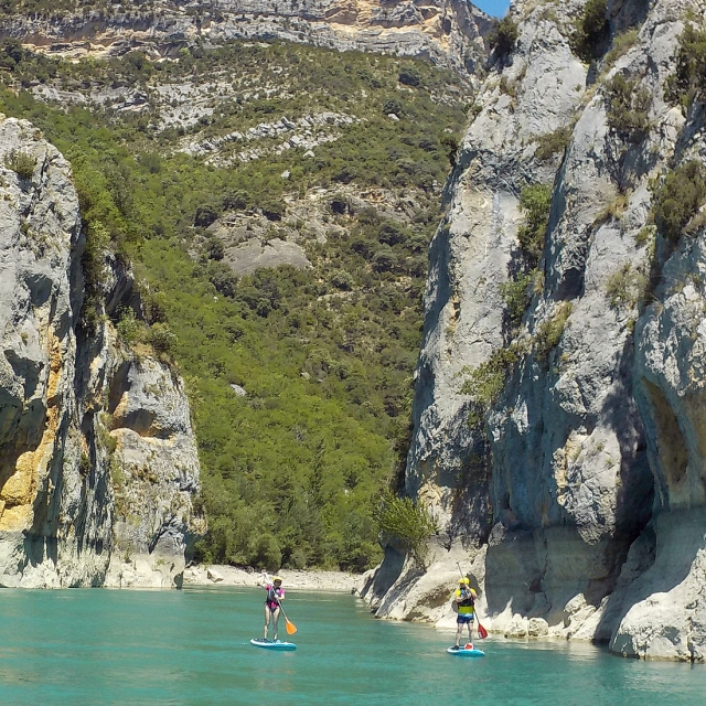  Paddle surf rental 
