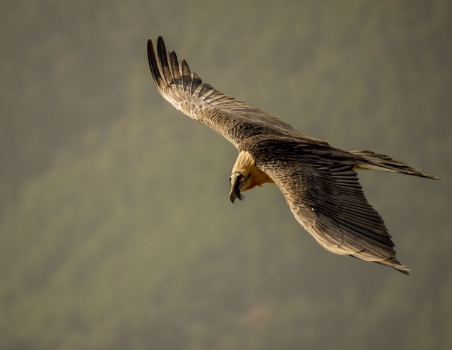  Ecotourism in Huesca 