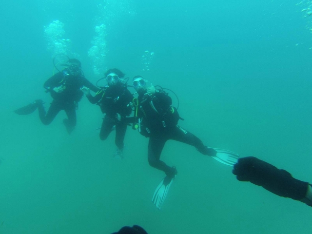  Group of 3 divers 