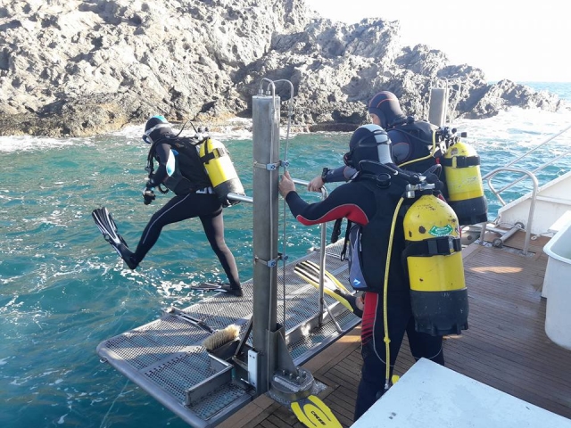  Plateforme de saut en bateau 