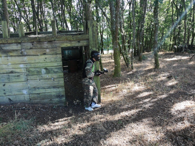 Escenario en el bosque