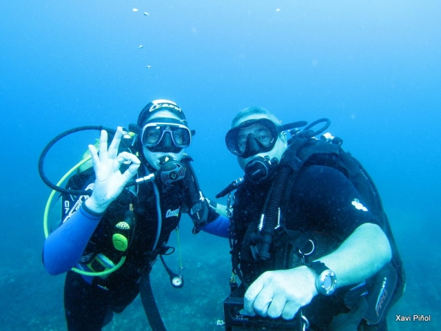 Divers under the sea surface 