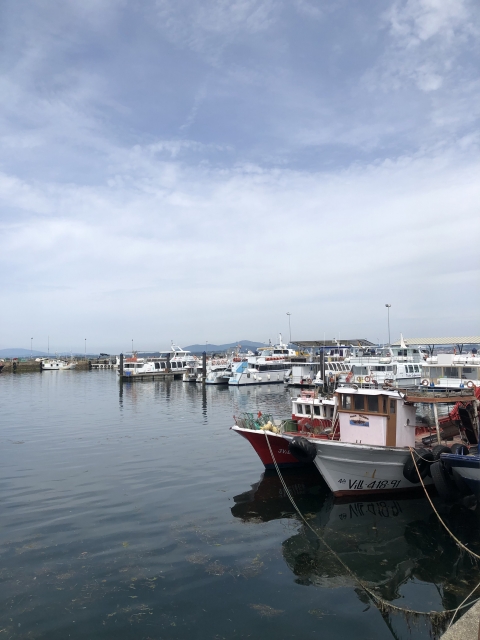 Opinión de Camila sobre Paseo en barco por Arousa ruta del mejillón 1h