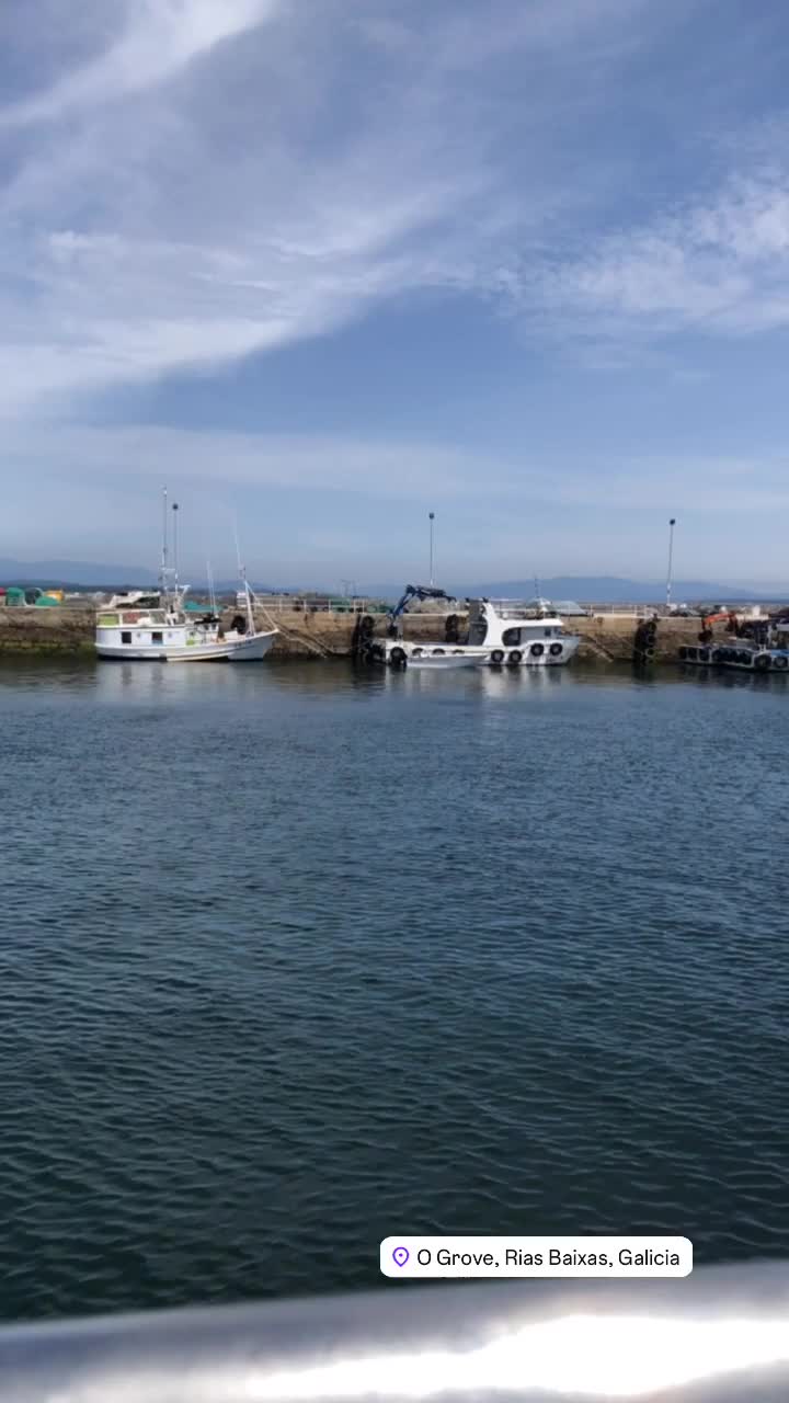 res_o-64524-paseos-en-barco_de_camila-ponce_17489603673008.mp4 res_o-64524-paseos-en-barco_de_camila-ponce_17489603673008.mp4