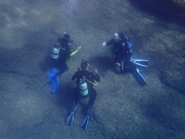 Diving in Rosen 