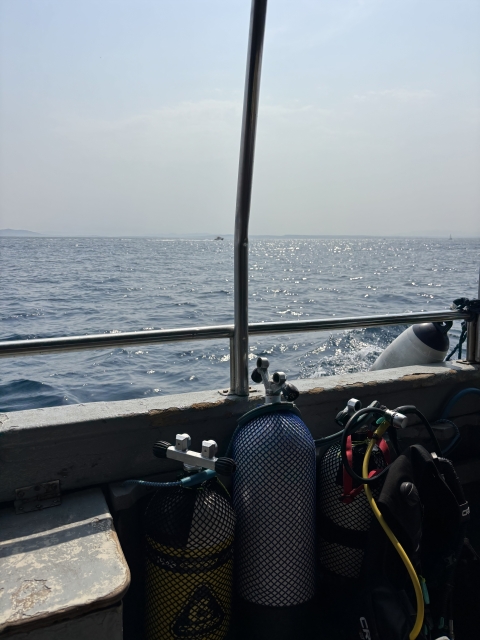 Review of Danny about Diving baptism from Barco in Santa Margarida 4h