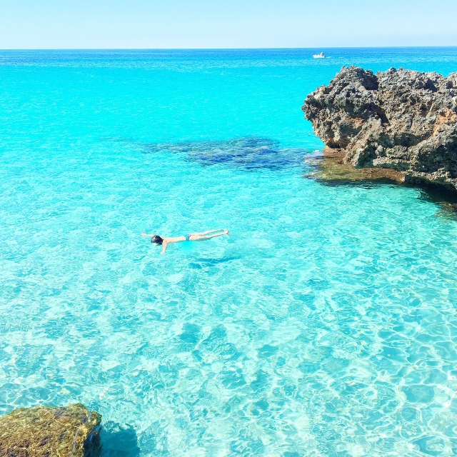  碧绿海水的海湾 
