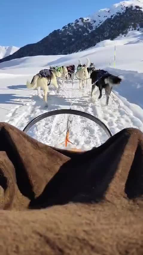 Opinión de Maite sobre Ruta mushing 10km Senda de los Osos 1h adulto