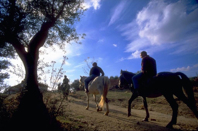 act-caballos_ii.jpg