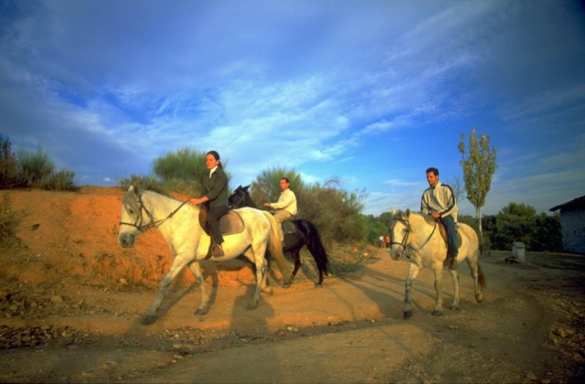 act-caballos_v.jpg