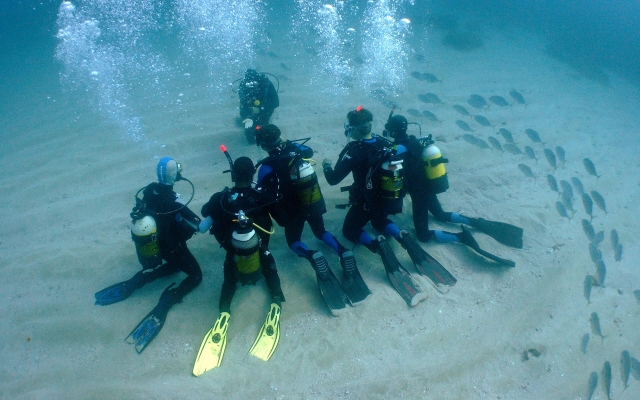 En las profundidades marinas