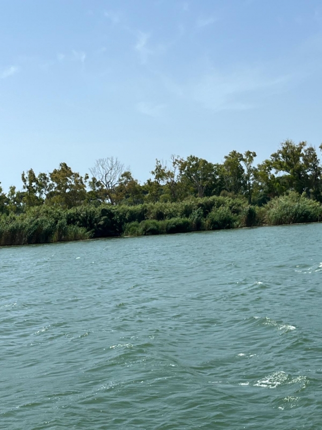 Opinión de Carmen sobre Paseo en barco por el Delta del Ebro de 1h30m