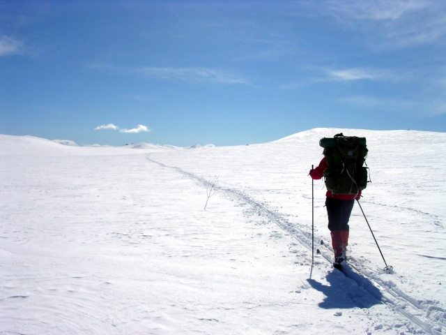 Paseo en ski