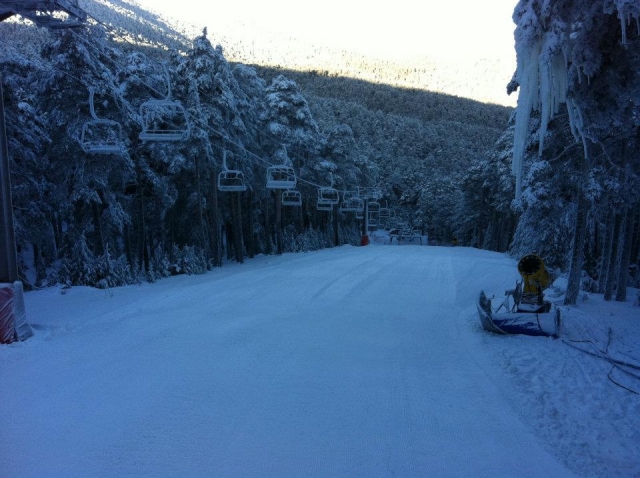 Pista del bosque