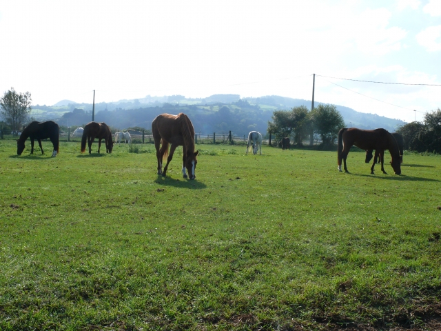 Pleno contacto con la naturaleza