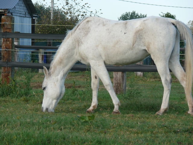 Cogiendo fuerzas para la ruta