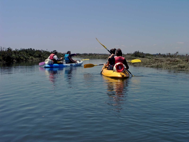 Remando in kayak 