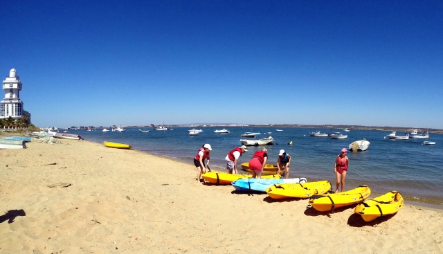 Kayak gialli in riva al mare 