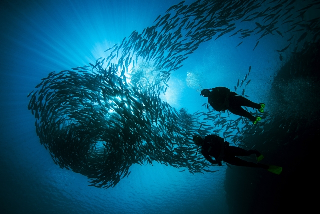 En las profundidades submarinas