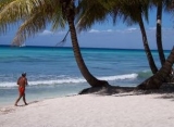  Discover paradisiacal beaches 