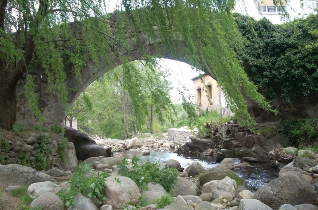 La naturaleza a tus pies