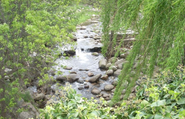 Armonía en plena naturaleza