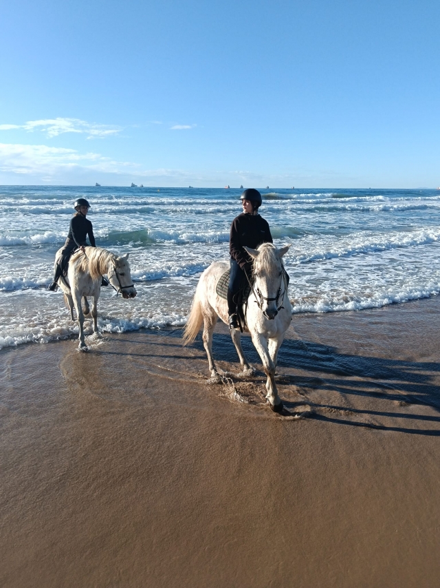 Avis de Sergio concernant Itinéraire équestre le long de la longue plage de Tarragone
