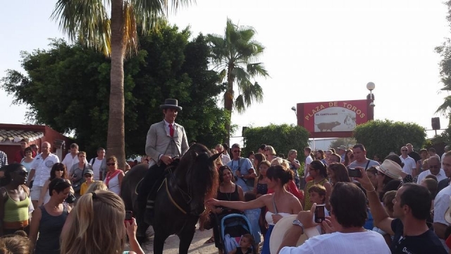  el cartujano 