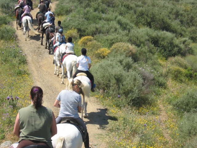  Escursione equestre 