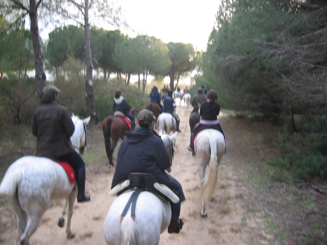 Itinerario a cavallo di gruppo 