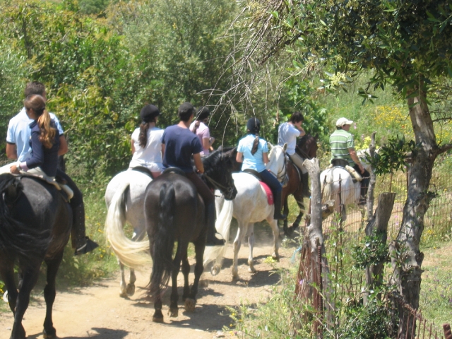  Las Lagunas de Mijas a cavallo 