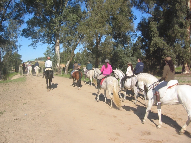  Passeggiata a cavallo per Malaga 