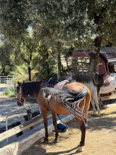 res_o-67653-rutas-a-caballo_de_claudia-vasquez-ramos_17888021363591.jpeg
