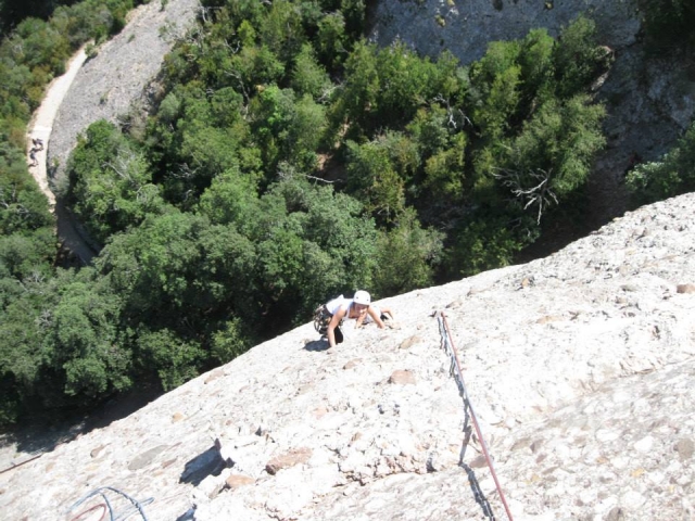  Arrampicarsi con gli alberi sotto 