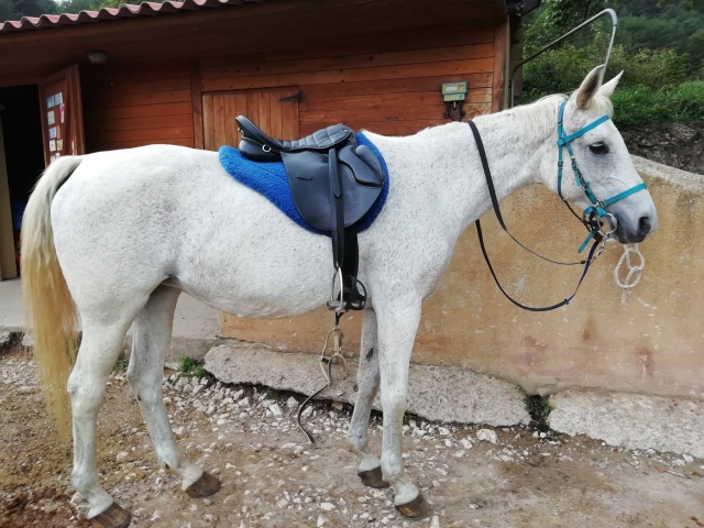 Clase de equitación en Berguedà