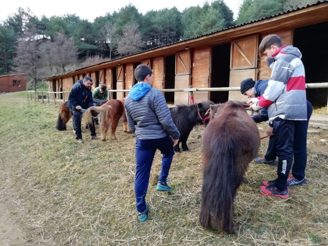 Saludando a los ponis